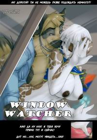 WINDOW WATCHER